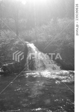 新潟県　魚野川　鱒どまり 139190616