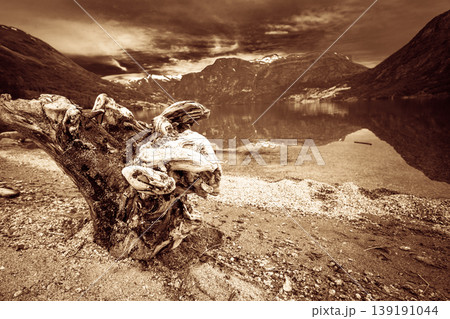 Mountains and fjord in Norway, 139191044