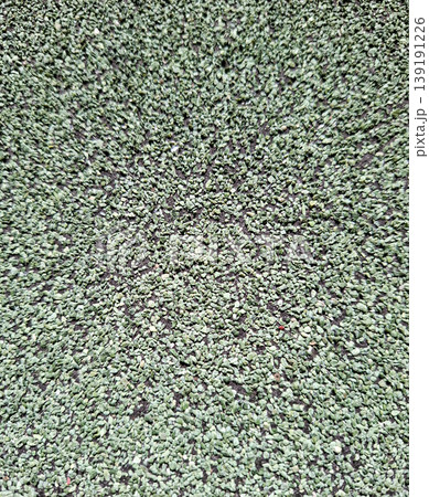 A high angle shot of green rubber crumb safety flooring used in playgrounds and sports tracks. The texture shows the material's structure and color. A high angle shot of green rubber crumb safety flooring used in playgrounds and sports tracks. The texture shows the material's structure and color. 139191226