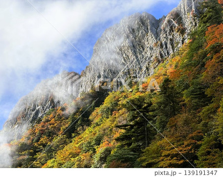 雲に覆われる石鎚山北壁 雲に覆われる石鎚山北壁 139191347