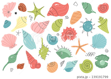 Seashell set collection with shells starfish and marine elements in hand drawn doodle style for summer decor branding and packaging 139191799