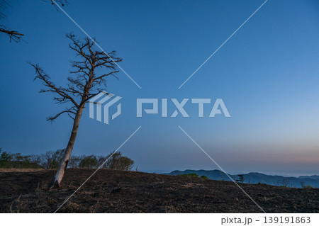 日本の兵庫県の上山高原のとても美しい春の風景 日本の兵庫県の上山高原のとても美しい春の風景 139191863
