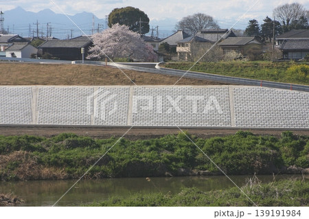新明橋の東側(2022.4.5) 穏やかな淡い日差しの中でプレートが輝く 堤防舗装工事 小山川左岸 139191984
