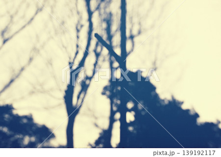 白い壁にかかった木の影 白い壁にかかった木の影 139192117