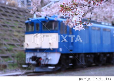 満開の桜に囲まれてひっそりと佇む勝沼ぶどう郷駅EF64-18号機電気機関車_2026/4/4撮影 139192133