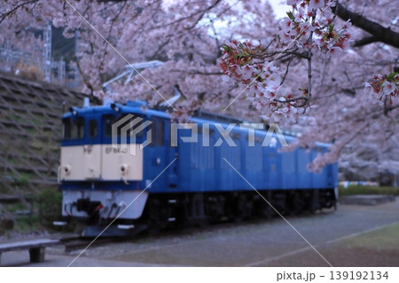 満開の桜に囲まれてひっそりと佇む勝沼ぶどう郷駅EF64-18号機電気機関車_2026/4/4撮影 139192134