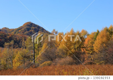 草紅葉の奥日光の山々と紅葉 草紅葉の奥日光の山々と紅葉 139192353