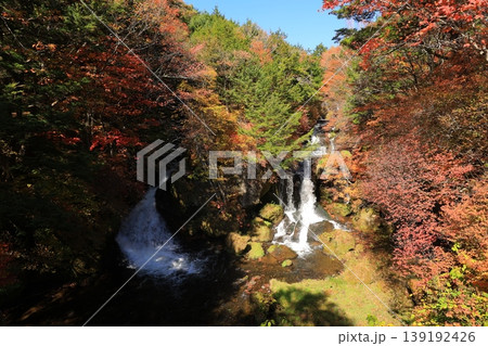 秋の紅葉に染まる奥日光の竜頭の滝 秋の紅葉に染まる奥日光の竜頭の滝 139192426