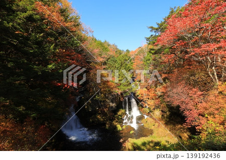 秋の紅葉に染まる奥日光の竜頭の滝 秋の紅葉に染まる奥日光の竜頭の滝 139192436