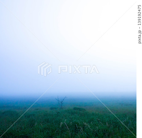 海霧が一面を覆う夏の北海道野付半島の幻想的な風景 139192475
