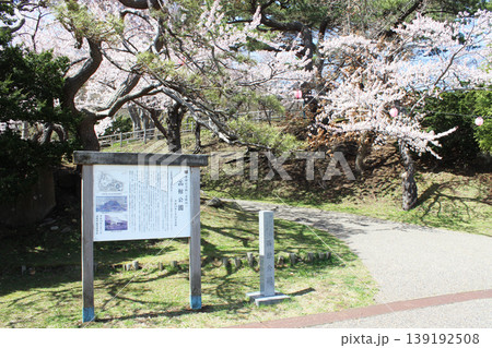 函館公園の桜 函館公園の桜 139192508