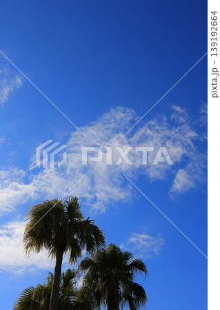 青空に浮かぶ雲 青空に浮かぶ雲 139192664
