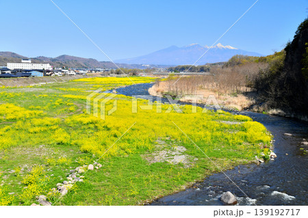 穂坂橋/塩川より上流(八ヶ岳)方向/を望む(山梨県韮崎市)【2026.4】 穂坂橋/塩川より上流(八ヶ岳)方向/を望む(山梨県韮崎市)【2026.4】 139192717