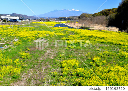 穂坂橋/塩川より上流(八ヶ岳)方向/を望む(山梨県韮崎市)【2026.4】 穂坂橋/塩川より上流(八ヶ岳)方向/を望む(山梨県韮崎市)【2026.4】 139192720