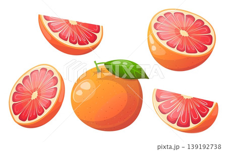 Vector set of grapefruit slices and whole fruit 139192738