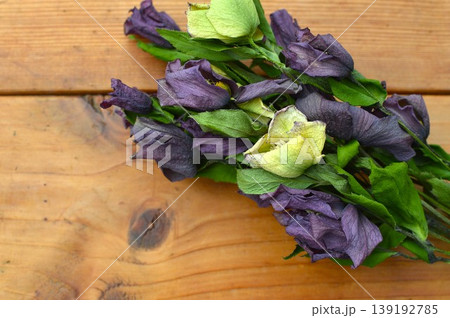 クリスマスローズのドライフラワーの花束 クリスマスローズのドライフラワーの花束 139192785