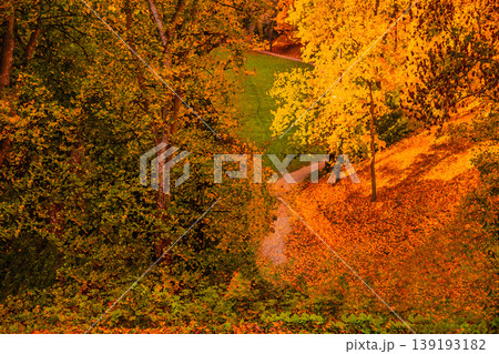 紅葉した木々の間から見える秋の風景 紅葉した木々の間から見える秋の風景 139193182
