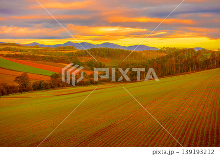 夕暮れの原野 139193212