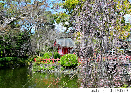 三島大社 厳島神社 三島大社 厳島神社 139193559
