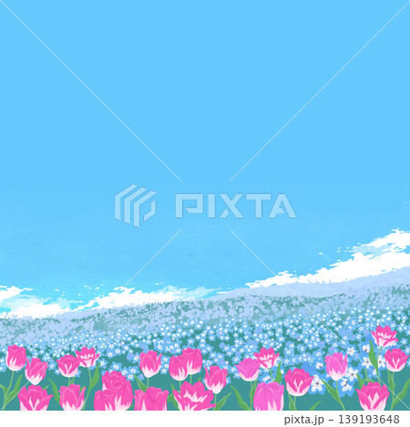 季節の風景イラスト(春)ネモフィラとチューリップ畑 季節の風景イラスト(春)ネモフィラとチューリップ畑 139193648