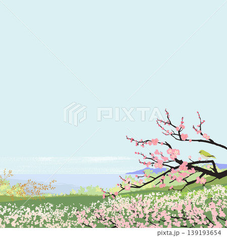 季節の風景イラスト（春）梅の花と薄曇りの空 139193654