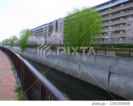 石神井川 石神井川 139193689