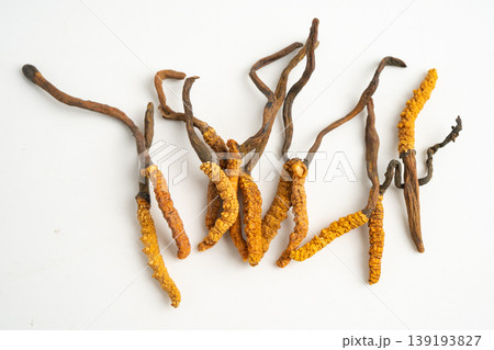 Cordyceps or Ophiocordyceps sinensis mushroom herb is fungus for used as medicine on white background. Cordyceps or Ophiocordyceps sinensis mushroom herb is fungus for used as medicine on white background. 139193827