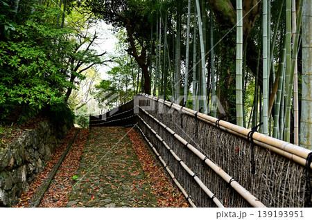 浜松城公園 浜松城公園 139193951