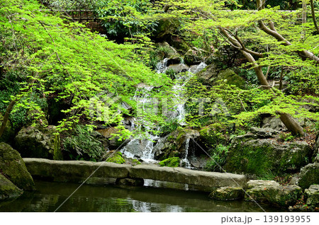 浜松城公園 浜松城公園 139193955