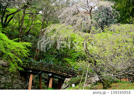 浜松城公園 浜松城公園 139193958