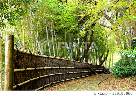 浜松城公園 浜松城公園 139193960