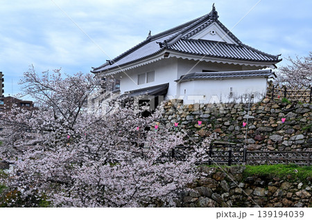 浜松城 大手門 浜松城 大手門 139194039