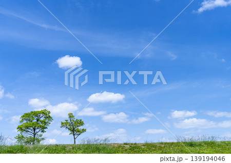 春の青空と雲と草原 139194046