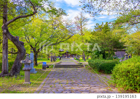 新緑の仙台木ノ下公園 薬師堂 新緑の仙台木ノ下公園 薬師堂 139195163