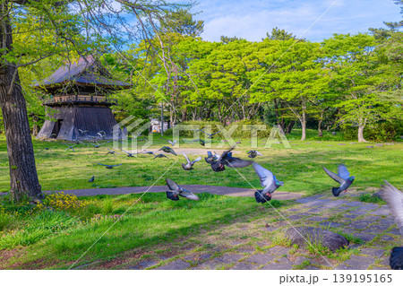 新緑の仙台木ノ下公園 薬師堂 新緑の仙台木ノ下公園 薬師堂 139195165