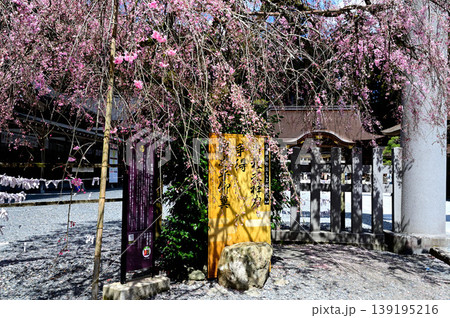 小國神社　 139195216