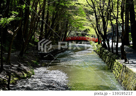 小國神社 宮川 小國神社 宮川 139195217