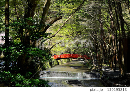 小國神社 宮川 小國神社 宮川 139195218