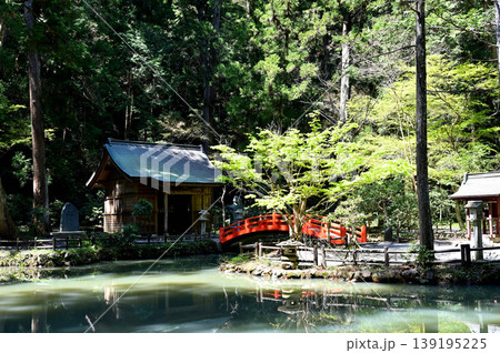 小國神社 八王子社 小國神社 八王子社 139195225