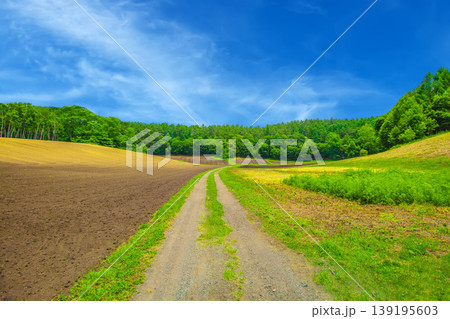 青空と緑のコントラストが美しい夏の高原風景 青空と緑のコントラストが美しい夏の高原風景 139195603
