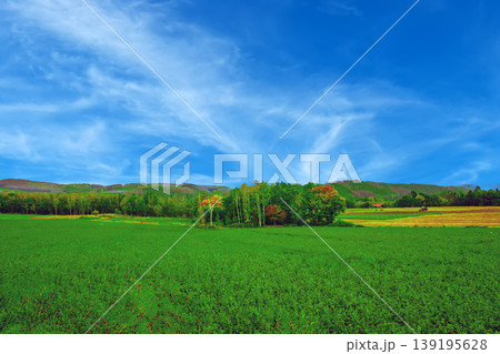 田園風景 139195628
