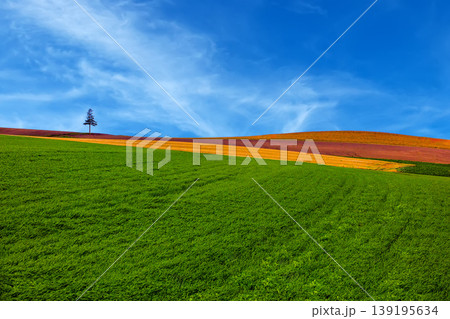田園風景 田園風景 139195634