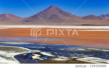 ボリビア・アルティプラーノ平原の絶景 ボリビア・アルティプラーノ平原の絶景 139195800