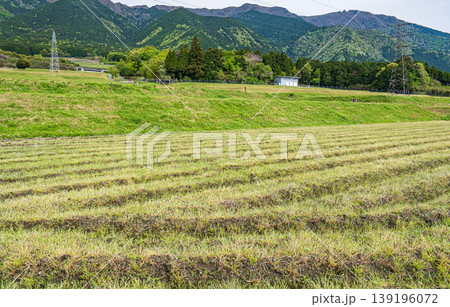 大津市八屋戸の棚田 滋賀県 大津市八屋戸の棚田 滋賀県 139196072