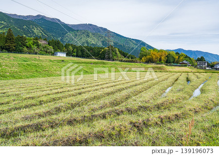 大津市八屋戸の棚田　滋賀県 139196073