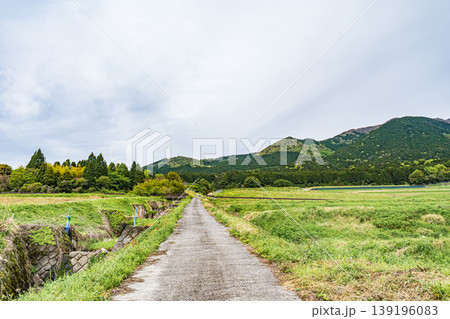 大津市八屋戸の棚田 滋賀県 大津市八屋戸の棚田 滋賀県 139196083