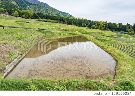 大津市八屋戸の棚田　滋賀県 139196084