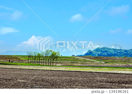 はさ木と越後三山 はさ木と越後三山 139196161