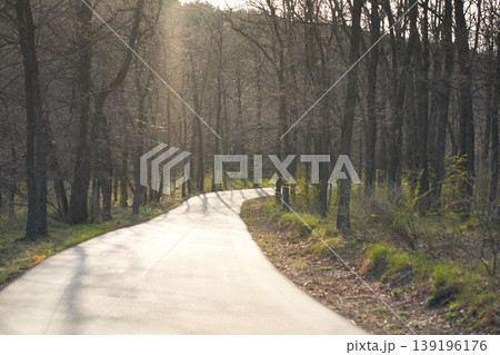 An asphalt road in a park against the backdrop of a sunlit spring forest. An asphalt road in a park against the backdrop of a sunlit spring forest. 139196176