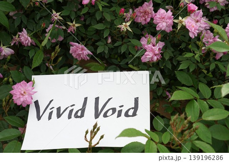 Vivid Void の風景 139196286